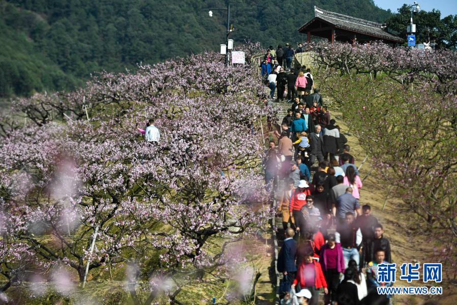 　　3月22日，游客在奉化区萧王庙街道林家桃园内赏花踏青。　　连日来，浙江宁波奉化区萧王庙街道上万亩连片种植的桃花陆续绽放，吸引不少游客到此赏花踏青。奉化于1996年被命名为“中国水蜜桃之乡”，水蜜桃种植面积超过5万亩。　　新华社记者 黄宗治 摄