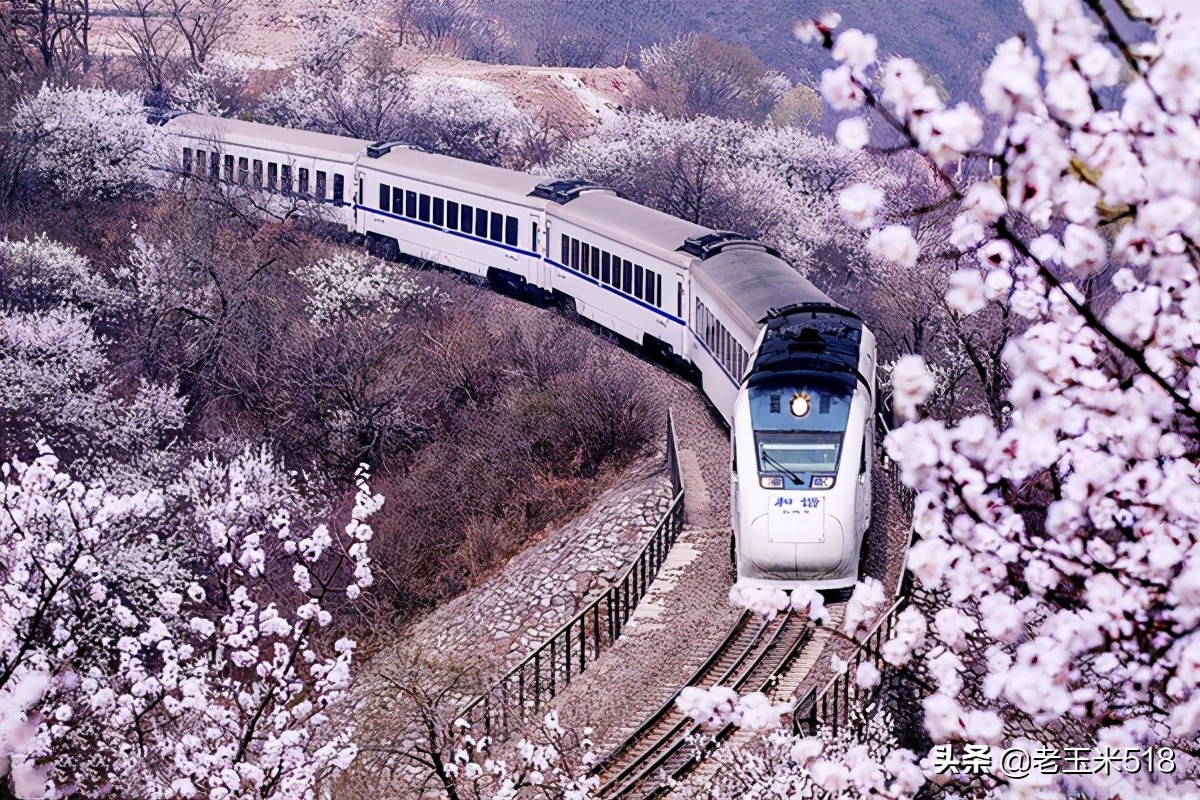 4月份被鲜花包围的7个地方,给自己放个假,愿卿不负大好春光