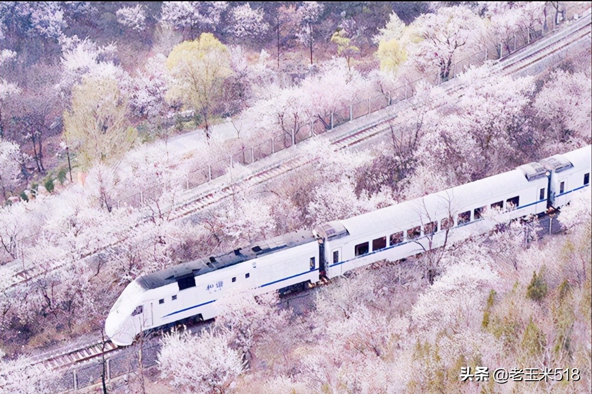 4月份被鲜花包围的7个地方,给自己放个假,愿卿不负大好春光
