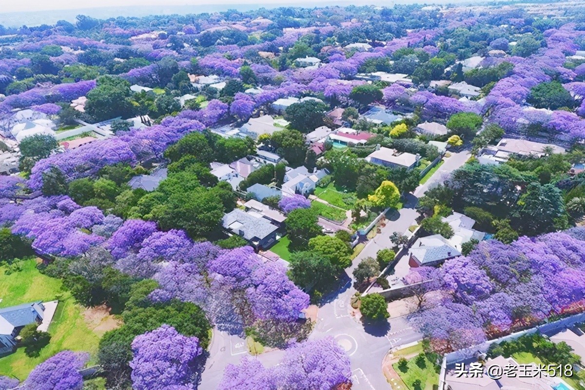 4月份被鲜花包围的7个地方,给自己放个假,愿卿不负大好春光