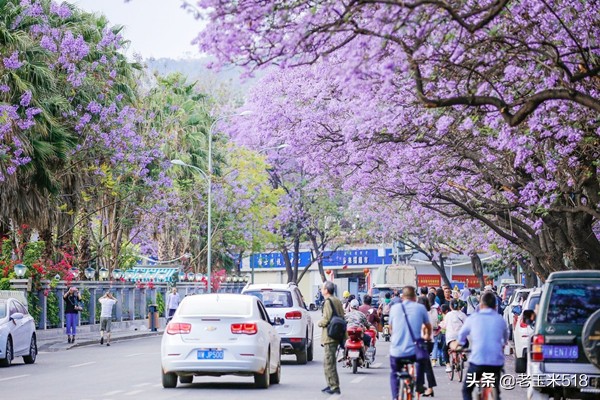 4月份被鲜花包围的7个地方,给自己放个假,愿卿不负大好春光
