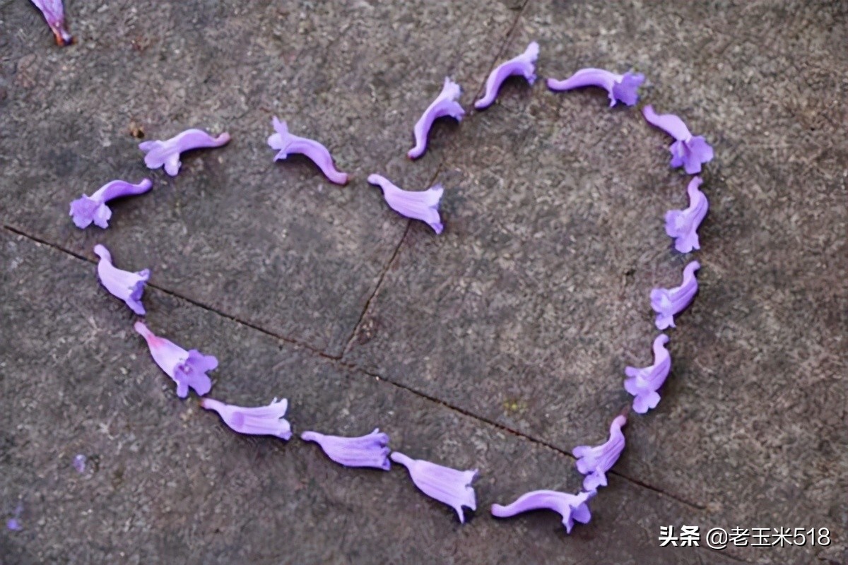 4月份被鲜花包围的7个地方,给自己放个假,愿卿不负大好春光