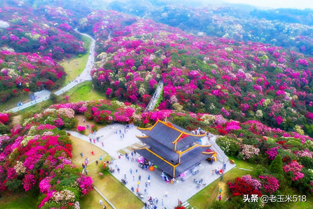 4月份被鲜花包围的7个地方,给自己放个假,愿卿不负大好春光