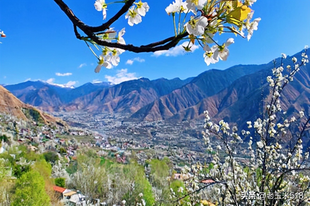 4月份被鲜花包围的7个地方,给自己放个假,愿卿不负大好春光