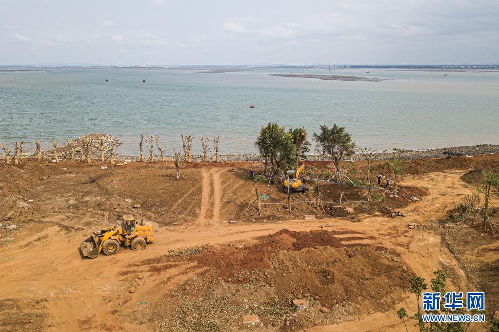 　　3月25日，工人在海南洋浦经济开发区洋浦滨海湿地公园项目工地施工（无人机照片）。　　近日，在海南自贸港建设“先行区”——洋浦经济开发区，洋浦外国语学校项目、洋浦滨海湿地公园项目正有序推进。　　洋浦外国语学校项目是海南省重点项目，目前该项目楼栋主体结构已经封顶，正在进行二次结构砌筑和室内装修等施工。项目完工后，可容纳小学至高中超过2000名学生就读。洋浦滨海湿地公园项目目前正在进行绿化、栈道等施工，项目建成后将成为一处集生态保护、休闲娱乐于一体的市民公园。　　新华社记者 蒲晓旭 摄