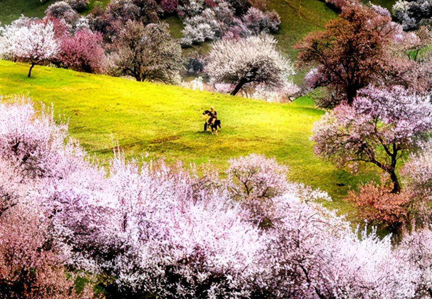 4月最适合出游的地方，累了就去小住几天