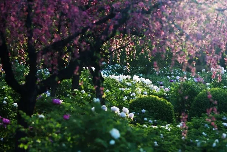 4月最适合出游的地方，累了就去小住几天