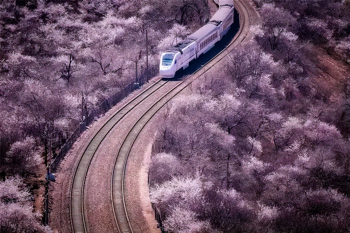 4月最适合出游的地方，累了就去小住几天