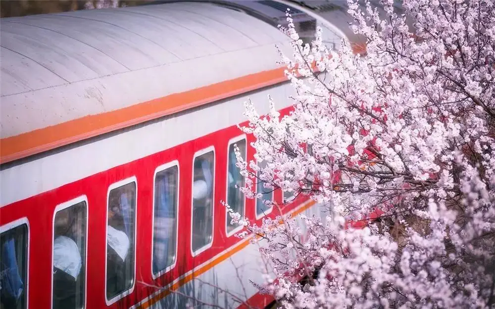 4月最适合出游的地方，累了就去小住几天