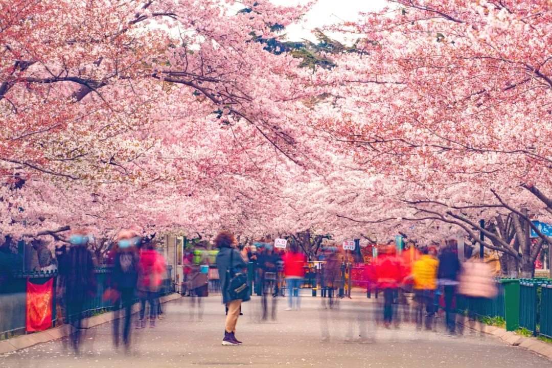 4月最适合出游的地方，累了就去小住几天