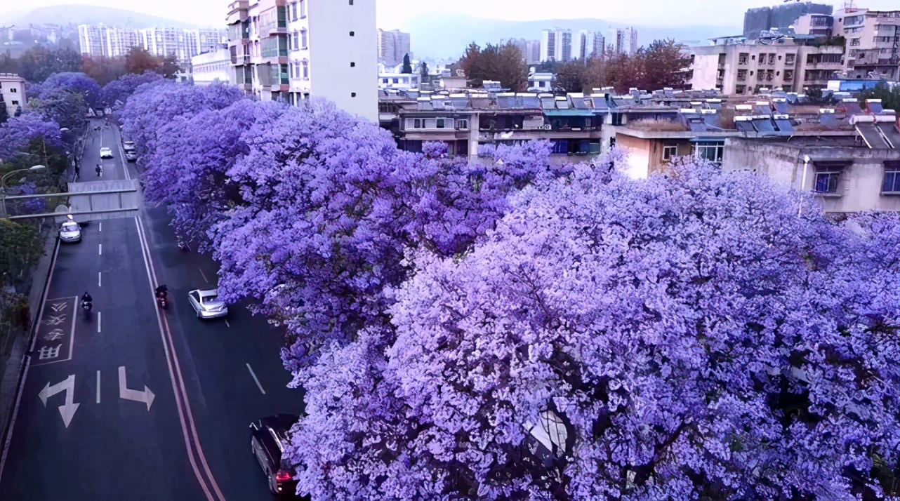 4月最适合出游的地方，累了就去小住几天