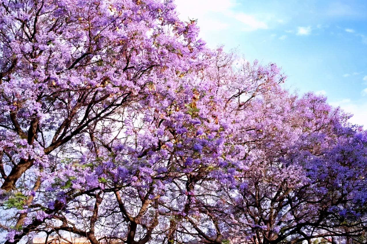 4月最适合出游的地方，累了就去小住几天