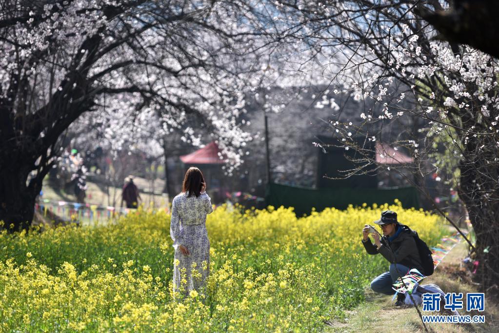 3月27日，游客在林芝市嘎拉村欣赏桃花时留影。当日，西藏林芝第十九届桃花旅游文化节开幕。林芝意为“太阳的宝座”，平均海拔3100米，每逢春日，盛开的桃花与蓝天白云、雪山冰川交相辉映，景观独特迷人。新华社记者 孙瑞博 摄