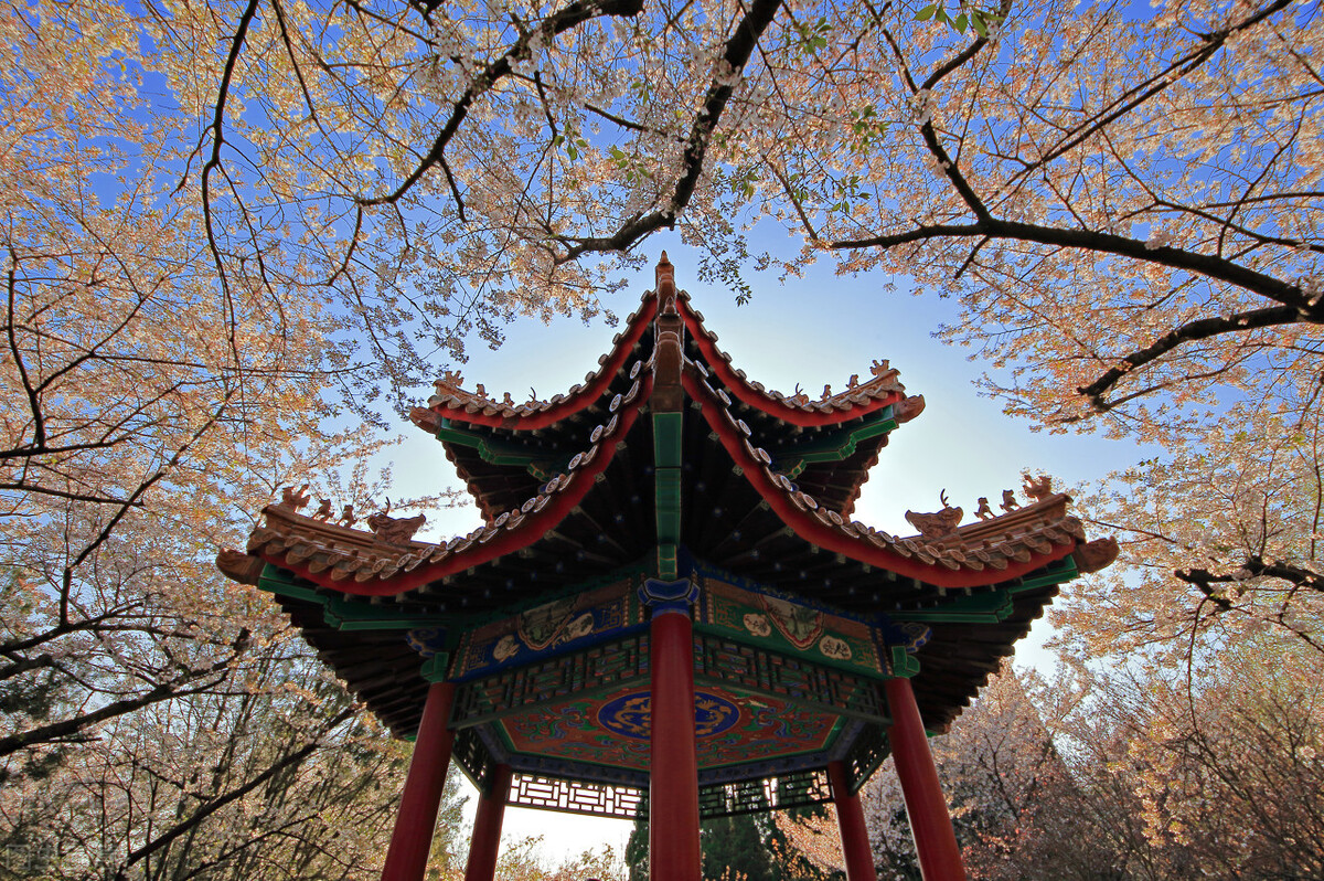 春天来了，到徐州旅游，有5个经典的景点是必须打卡的地方