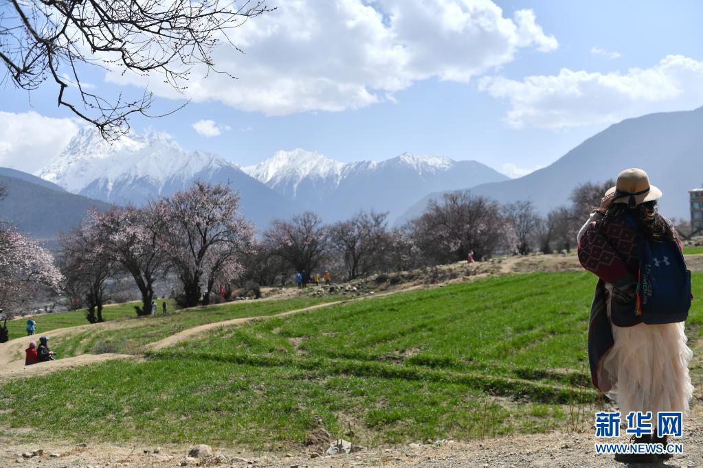 　　3月28日，游客们来到西藏自治区林芝市索松村欣赏桃花。新华社记者 孙瑞博 摄