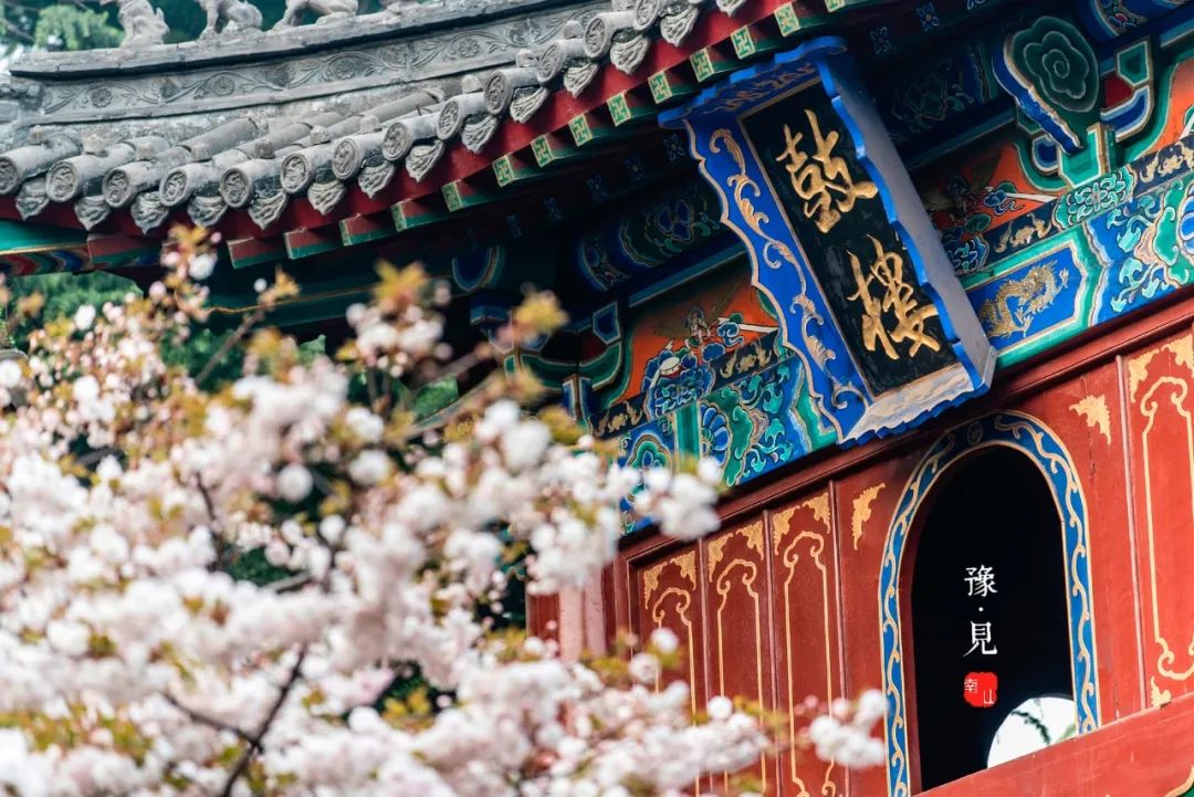 四月旅行地推荐!10个诗情画意目的地,这才是春天该去的地方