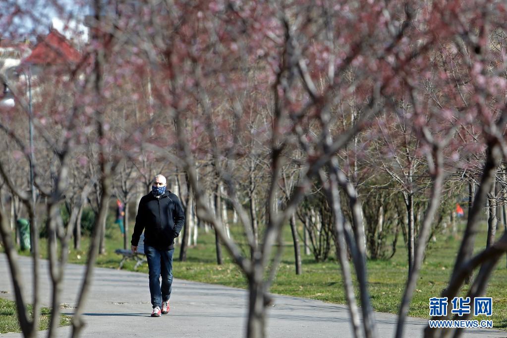 　　3月30日，一名男子戴着口罩在罗马尼亚首都布加勒斯特一处公园步行。　　罗马尼亚正面临新一波新冠疫情，而首都布加勒斯特是全国感染率较高的地区之一。目前，罗马尼亚全国范围处于宵禁状态，每天22时至次日5时居民的出行受限，所有人出门必须戴口罩。　　新华社发（克里斯泰尔摄）