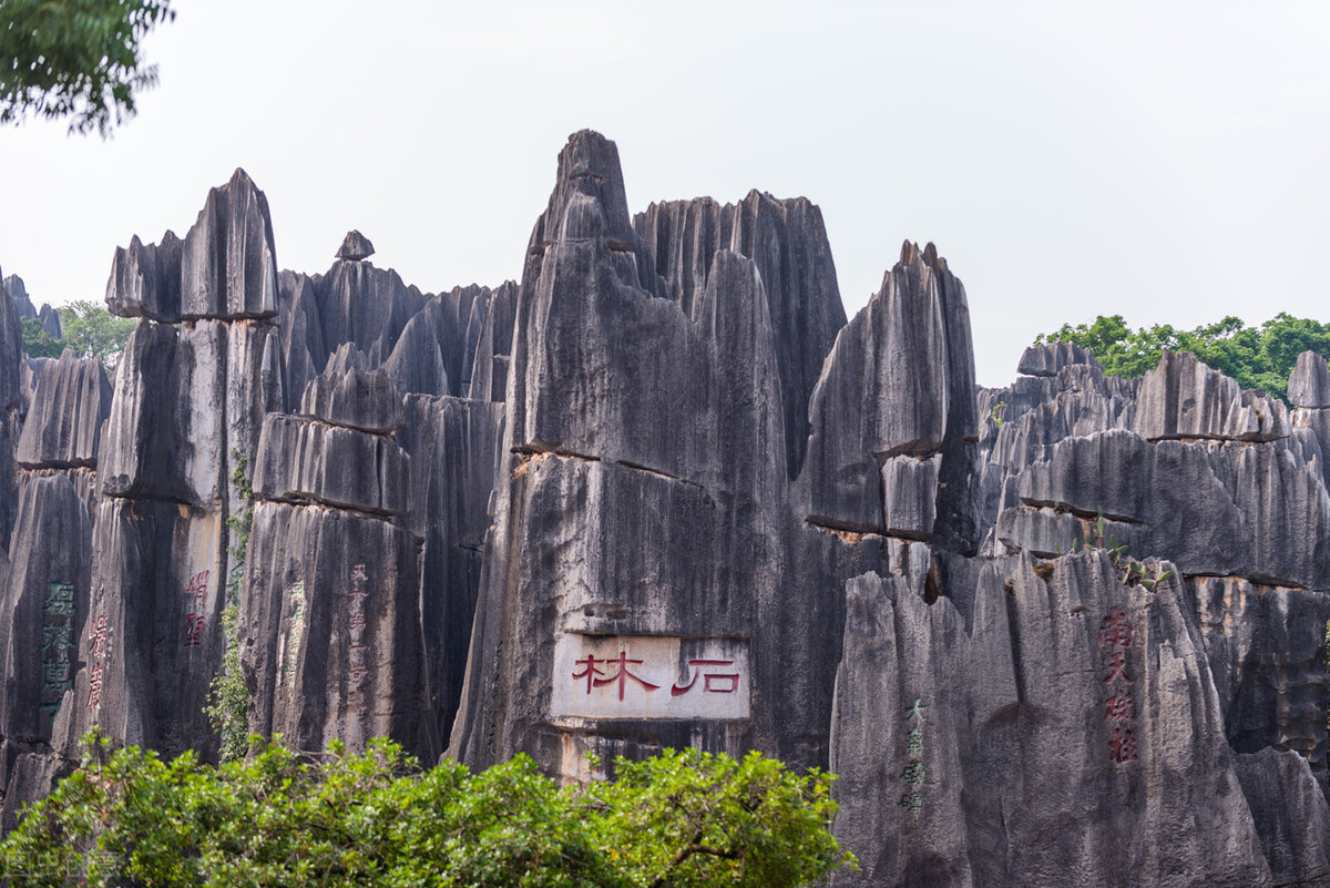 到云南旅行,不能错过的六大景点,你去过几个?
