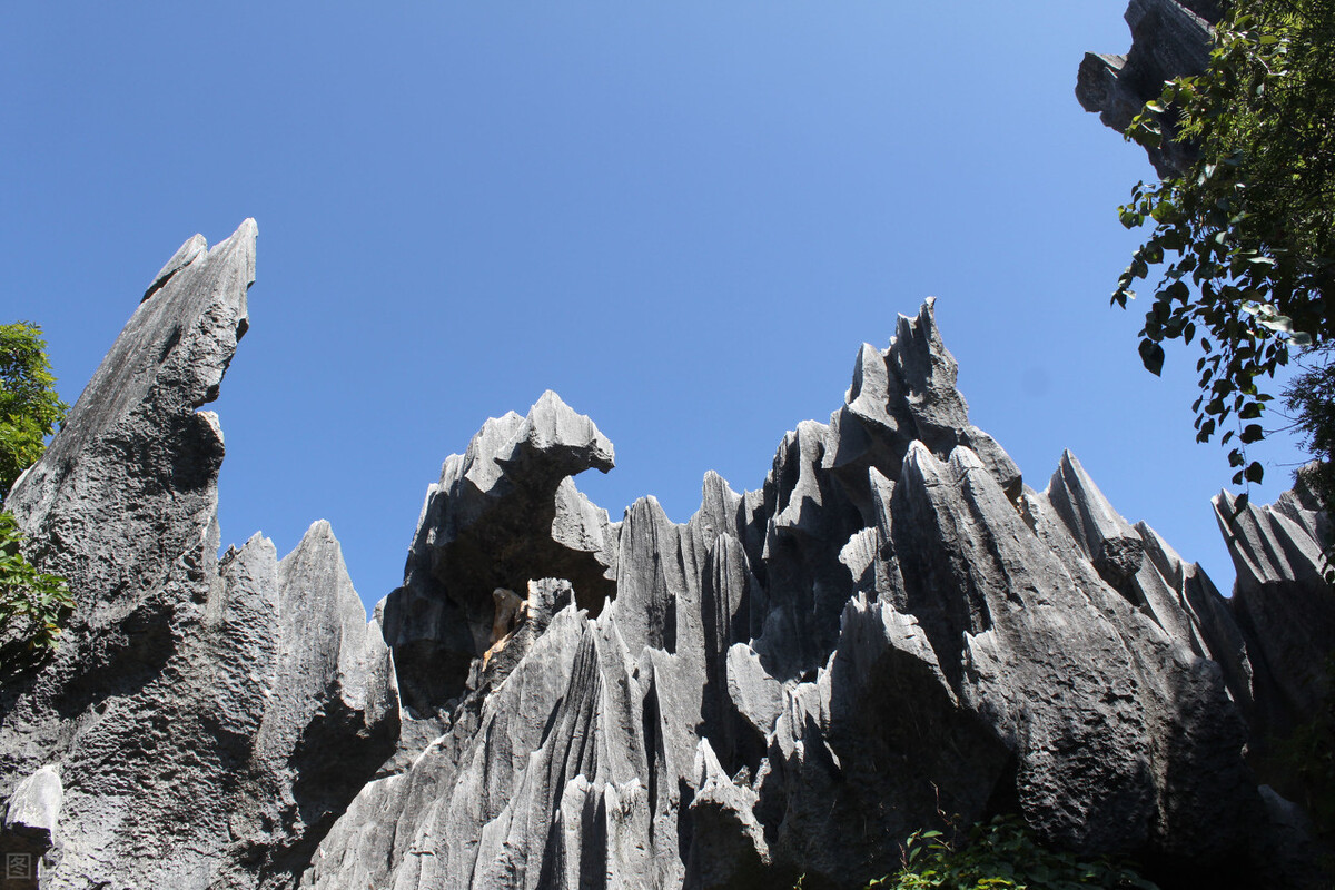 到云南旅行,不能错过的六大景点,你去过几个?
