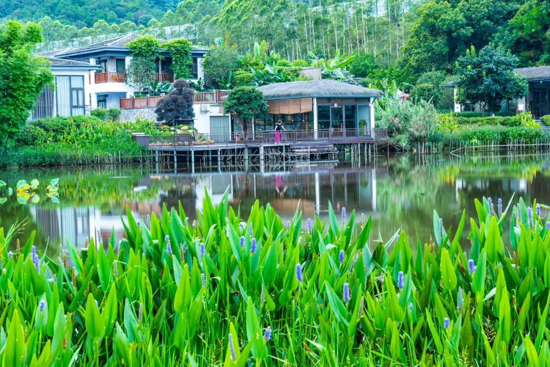 五一去哪,广东最值得去的10个旅游目的地推荐,有你想去的吗?