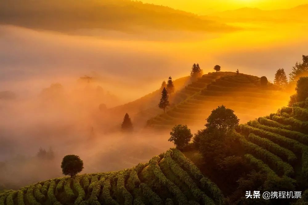 中国十大宜居城市最新排行榜 | 看看有没有你的家乡