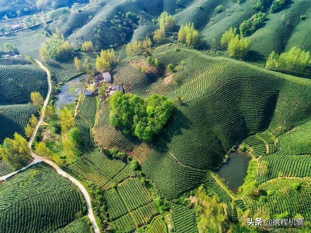 中国十大宜居城市最新排行榜 | 看看有没有你的家乡