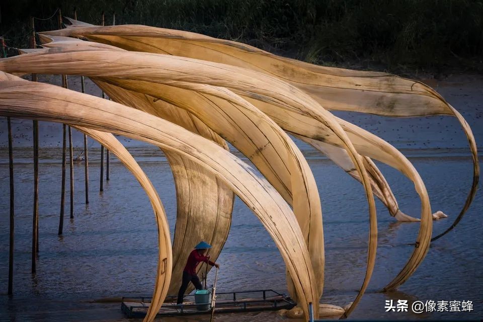 最美人间四月天，这7个小众旅行告别人山人海，去这里看山看海