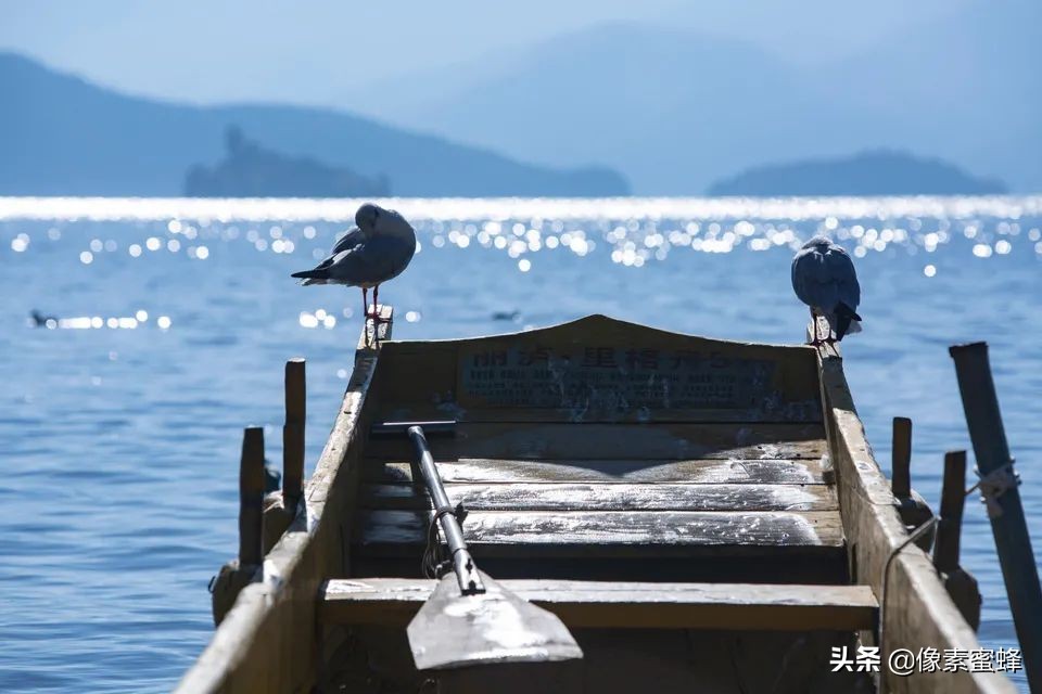 最美人间四月天，这7个小众旅行告别人山人海，去这里看山看海