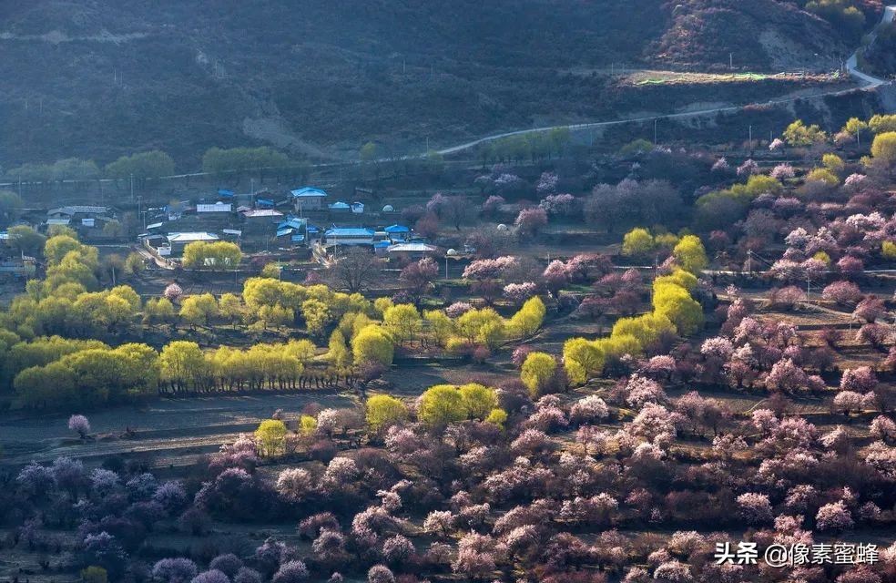 最美人间四月天，这7个小众旅行告别人山人海，去这里看山看海