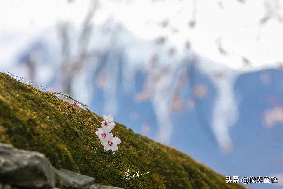 最美人间四月天，这7个小众旅行告别人山人海，去这里看山看海