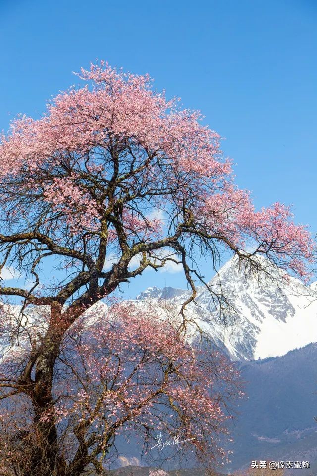 最美人间四月天，这7个小众旅行告别人山人海，去这里看山看海