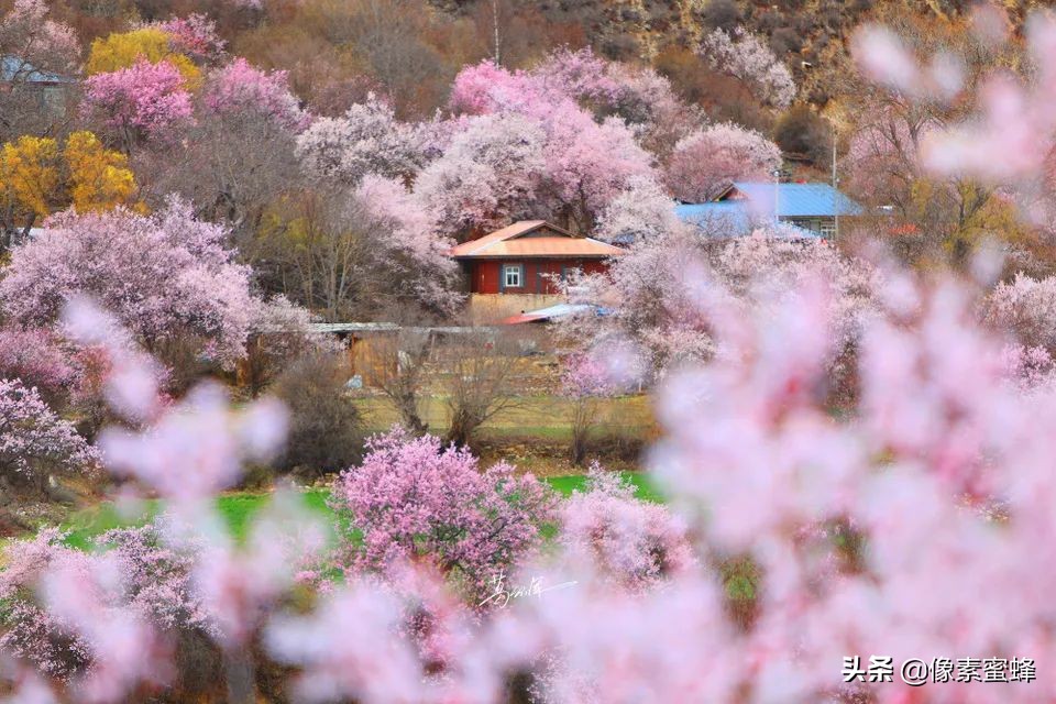 最美人间四月天，这7个小众旅行告别人山人海，去这里看山看海