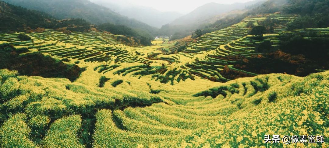 最美人间四月天，这7个小众旅行告别人山人海，去这里看山看海