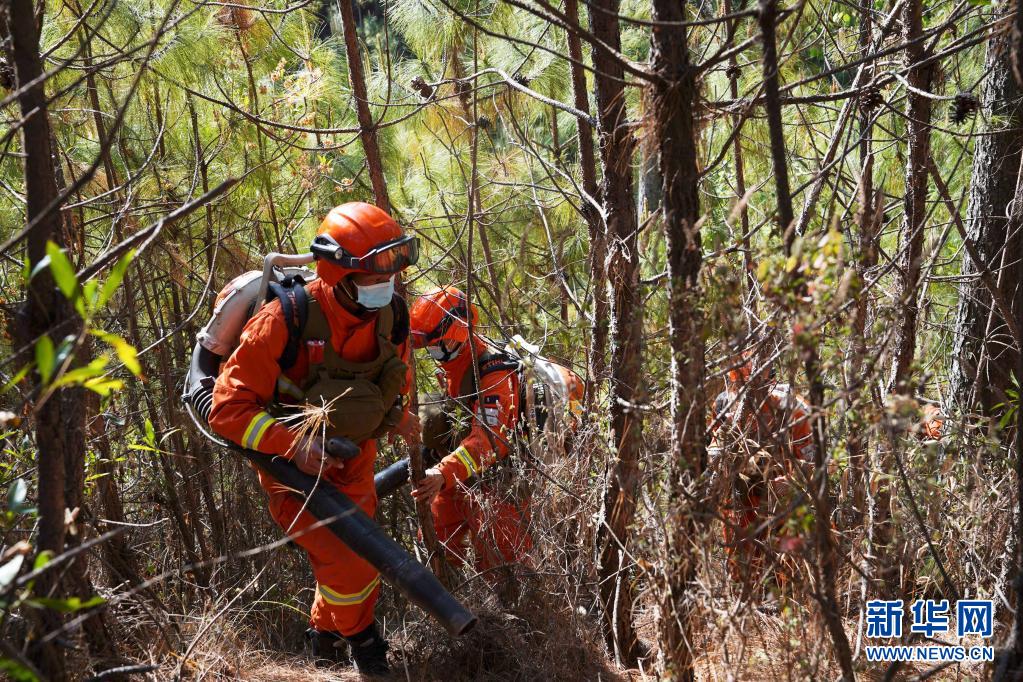 4月3日，四川凉山州森林消防支队西昌大队消防员在林间防火巡护。新华社发