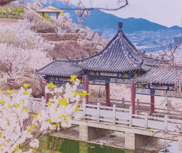 适合穷游的三座城市,不仅平均消费低,而且风景美如画