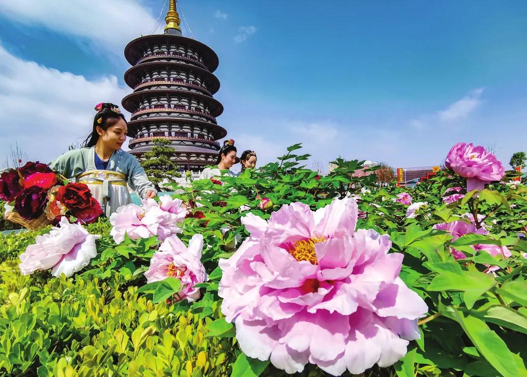 网友评出的中国十大花会节，2021不要错过的美好！