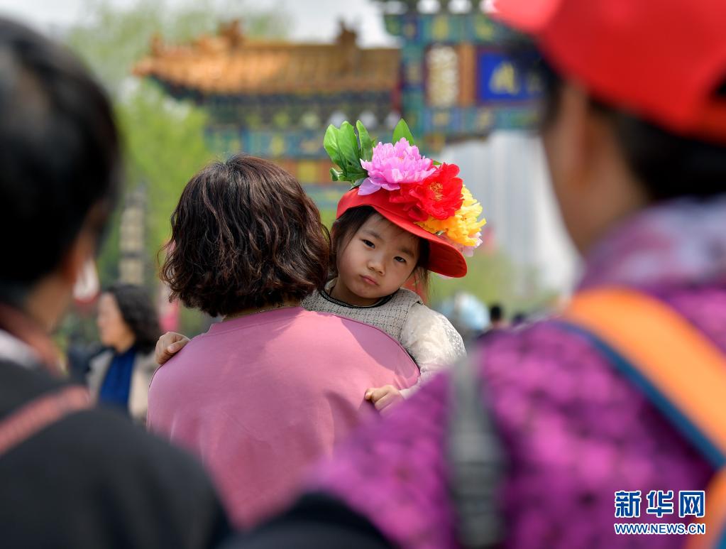 　　4月8日，一名头戴“牡丹”花帽的小游客和家人一起游园。　　近日，山东省菏泽市曹州牡丹园内的多品种牡丹花竞相开放，正值第30届菏泽国际牡丹文化旅游节举行，吸引游客前来赏花。　　新华社记者李贺摄