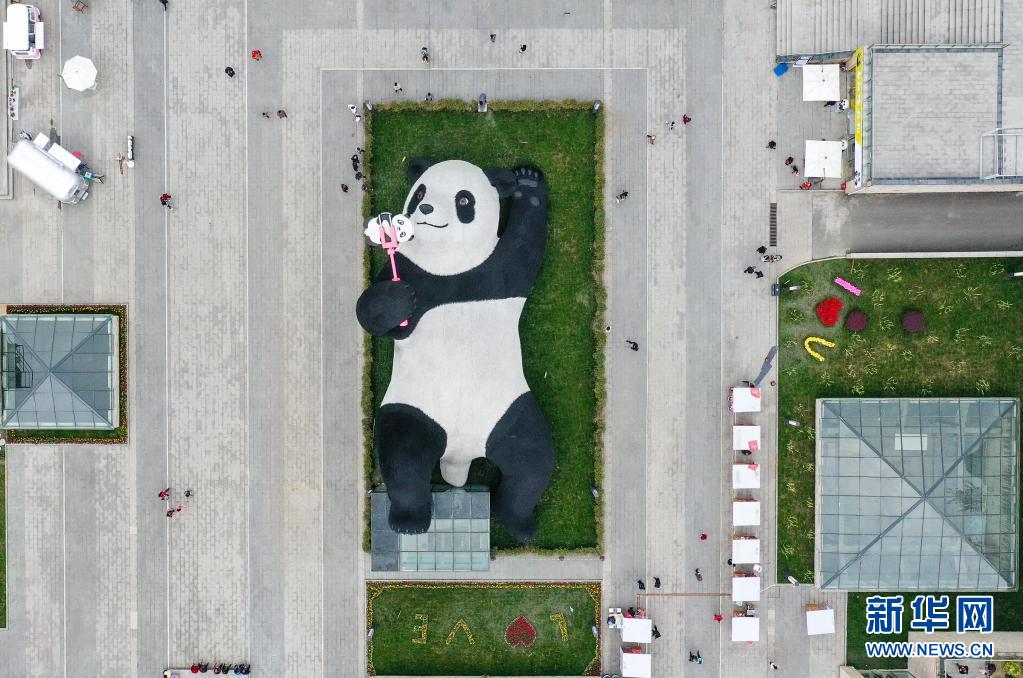　　这是4月7日在四川省都江堰市仰天窝广场拍摄的“自拍熊猫”雕塑（无人机照片）。　　近日，由荷兰艺术家弗洛伦泰因·霍夫曼设计的大熊猫自拍艺术品雕塑在四川省都江堰市仰天窝广场与公众见面。这只仰卧翘脚自拍的“大熊猫”长26.5米、宽11米、高12米，重达130吨，由300万根漆面不锈钢丝固定而成。　　据了解，这只熊猫雕塑以2005年大熊猫闯入都江堰闹市区的故事为创作灵感。熊猫手持一部巨型智能手机，吸引市民和游客前来观赏，合影“打卡”。　　新华社记者 王曦 摄
