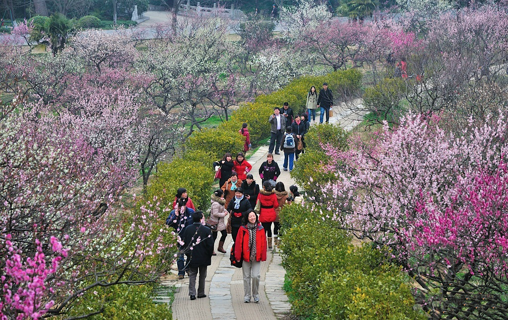 南京旅游必打卡的景点，都是国家5A景区，景美且文化底蕴深厚