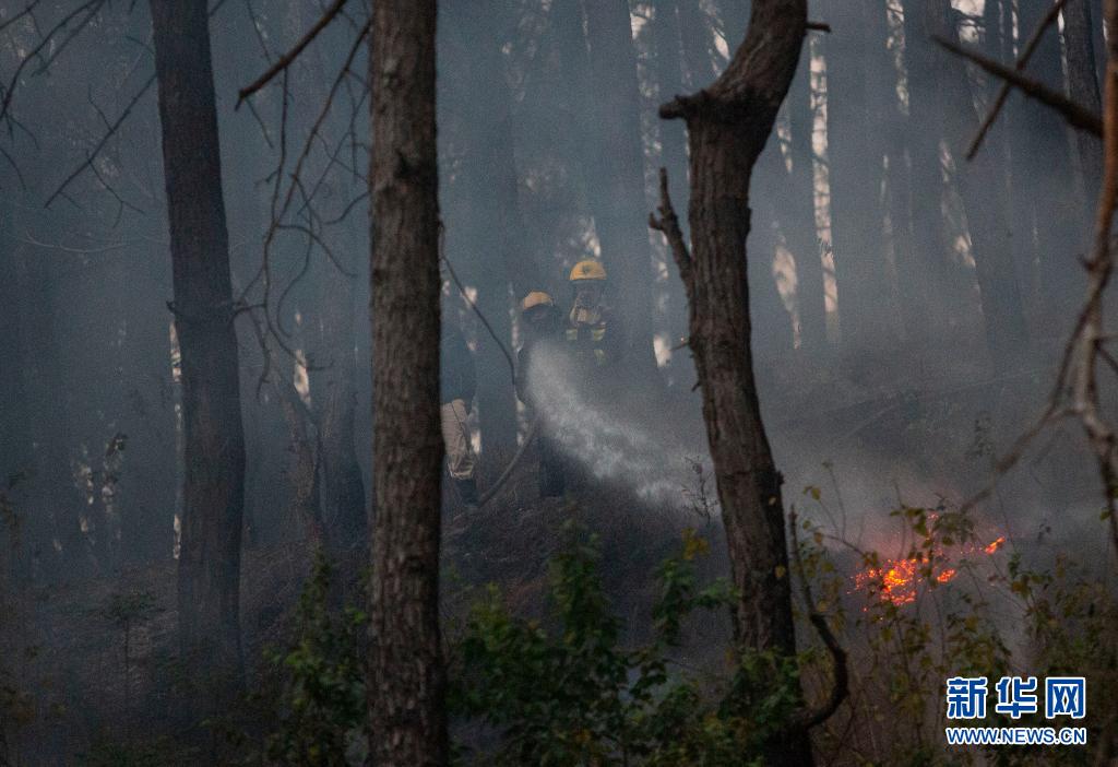 　　4月14日，消防员在尼泊尔加德满都一处森林进行灭火作业。　　近日，尼泊尔林火多发。　　新华社发（苏拉弗·什雷斯塔 摄）