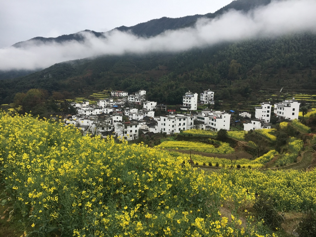 江西深山发现中国最圆的古村，为千年前南唐国师建造，远看似八卦