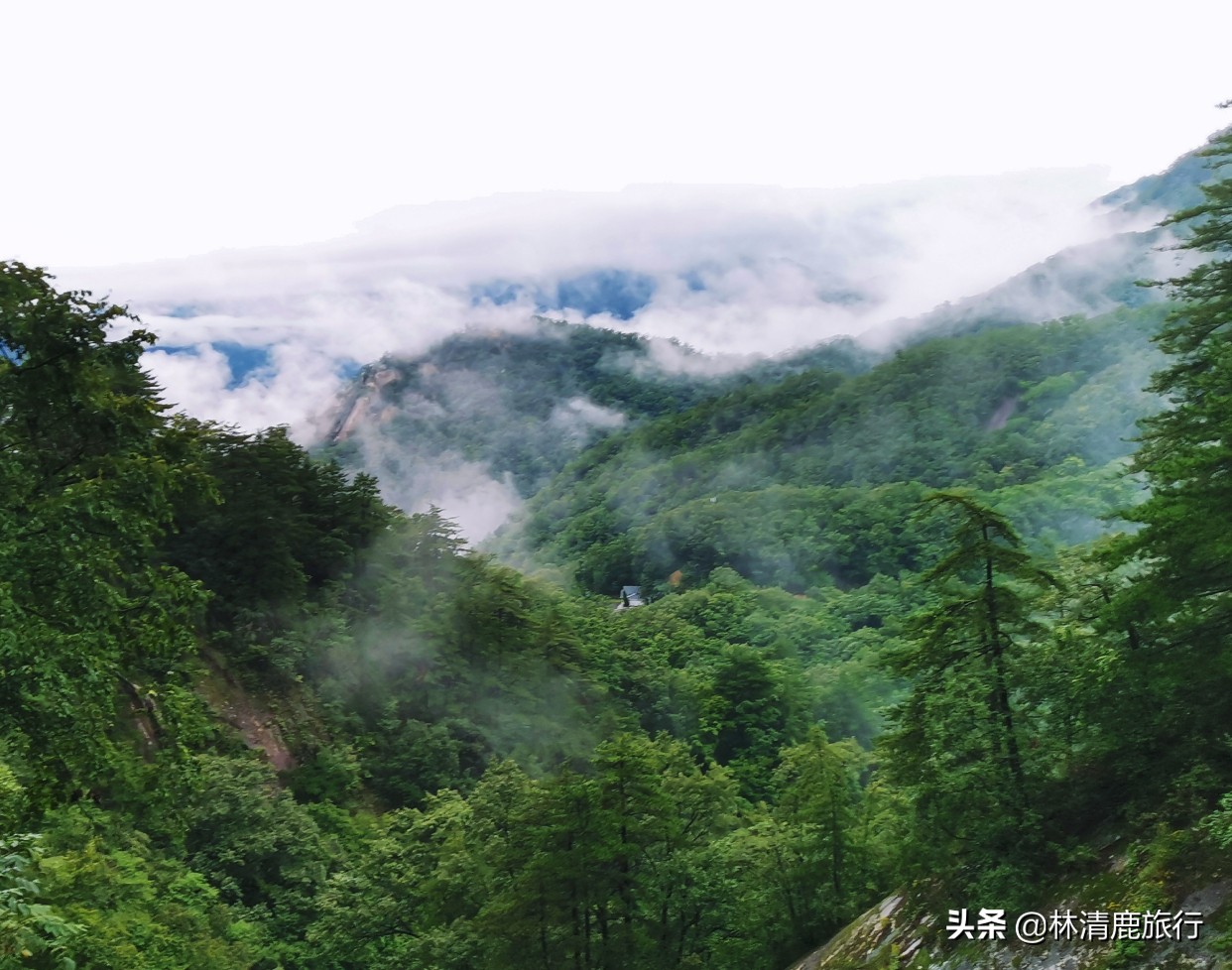 河南8个适合中老年人的景区，有山有水景色美，花钱少不累人
