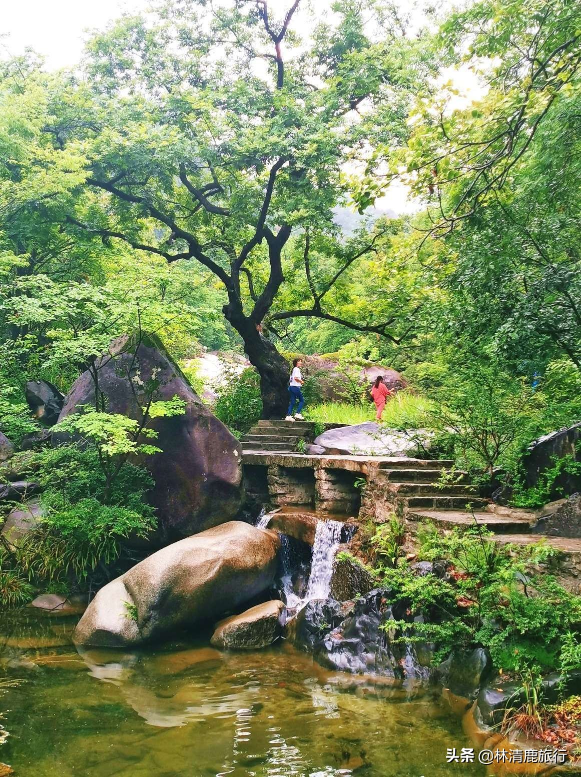 河南8个适合中老年人的景区,有山有水景色美,花钱少不累人