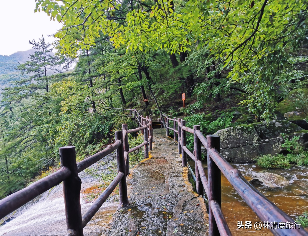 河南8个适合中老年人的景区，有山有水景色美，花钱少不累人