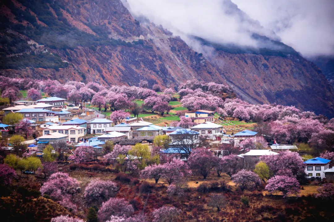 适合一去再去的旅行清单,去过忘不了戒不掉
