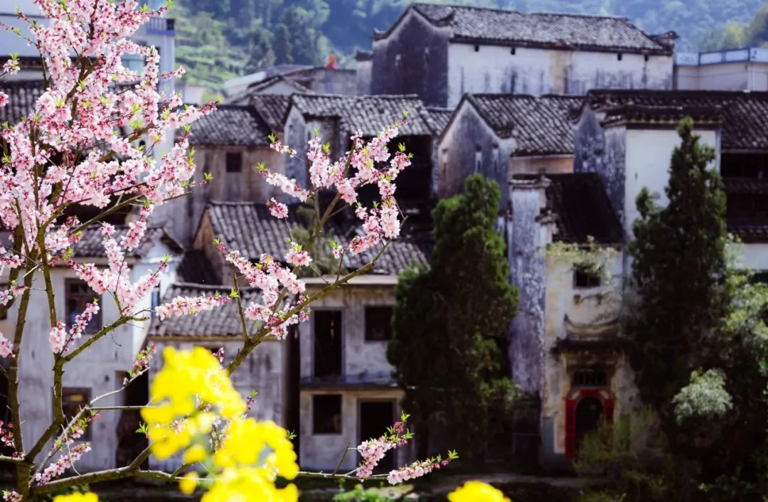 适合一去再去的旅行清单,去过忘不了戒不掉