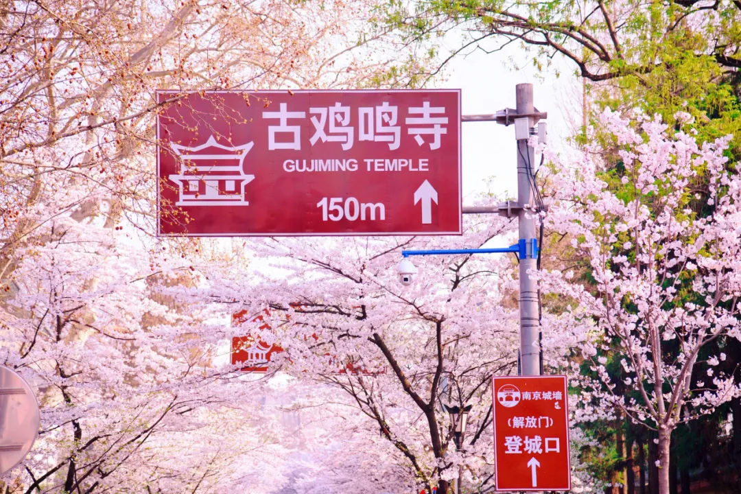 适合一去再去的旅行清单,去过忘不了戒不掉