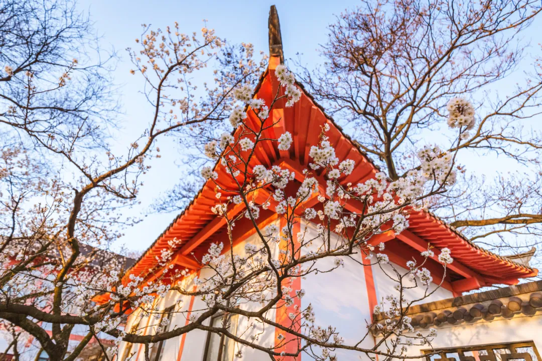 适合一去再去的旅行清单,去过忘不了戒不掉