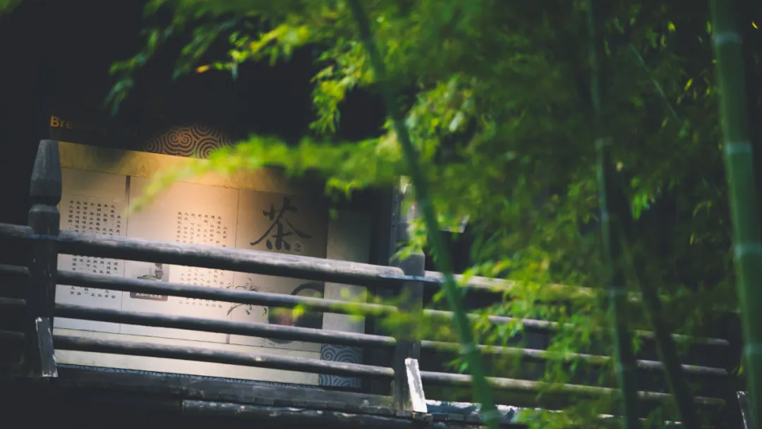 适合一去再去的旅行清单,去过忘不了戒不掉
