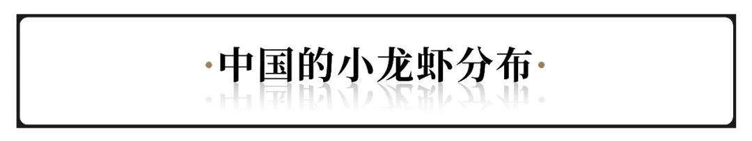 中国5大“小龙虾之都”，吃虾到底该去哪儿